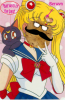 Sailor Moon Berwyn.png