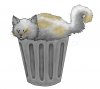 trashcat.jpg