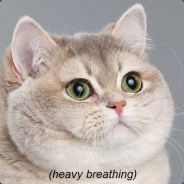 [S.M.C.C] XxXM00NBREaDXxX