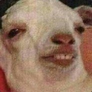 Dentrex | blw.tf sux