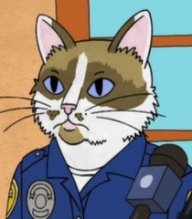 Katpolice