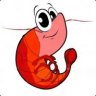 [RB] Shrimpy