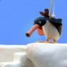 PINGU